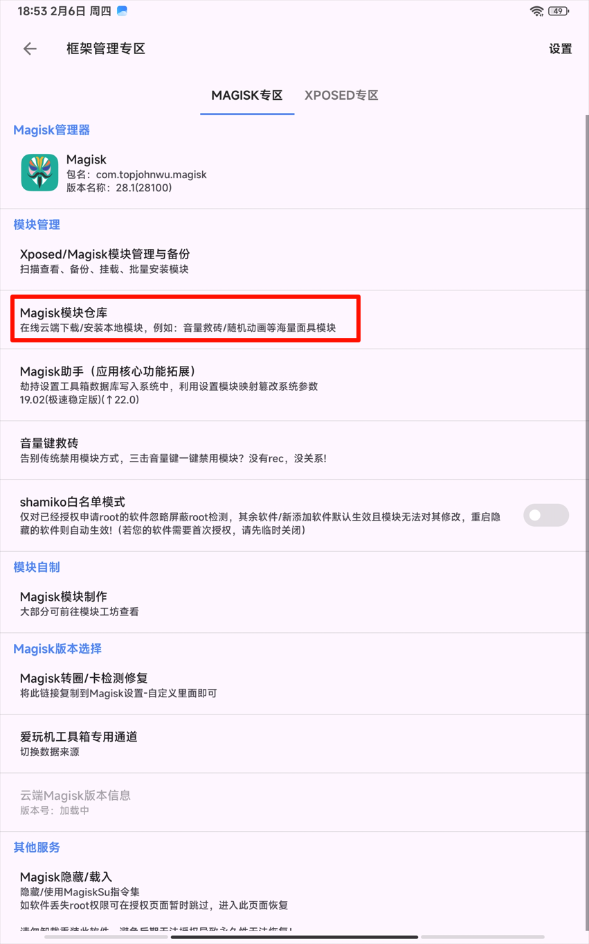 image-20250206185831218